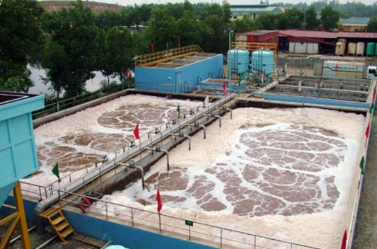 Binh Dinh attire un 2e projet japonais depuis le début de l’année ảnh 1