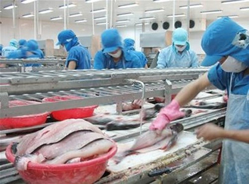 Accélération de la délivrance du certificat électronique de l’UE aux produits aquatiques vietnamiens ảnh 1 Accélération de la délivrance du certificat électronique de l’UE aux produits aquatiques vietnamiens ảnh 1
