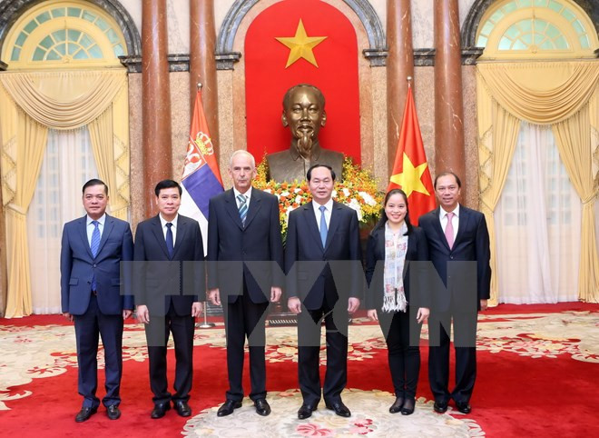 Le président du Vietnam reçoit de nouveaux ambassadeurs ảnh 3 Le président du Vietnam reçoit de nouveaux ambassadeurs ảnh 3