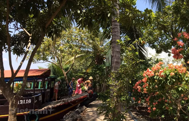 Promotion du tourisme du delta du Mékong ảnh 1