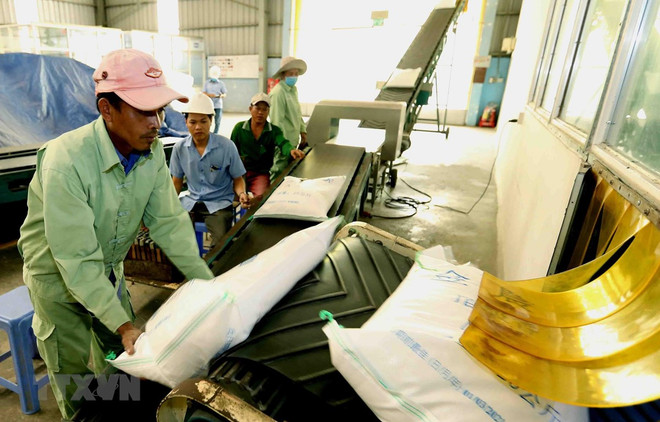 Riz: les exportations en dix mois en hausse en volume mais en recul en valeur ảnh 1 Riz: les exportations en dix mois en hausse en volume mais en recul en valeur ảnh 1