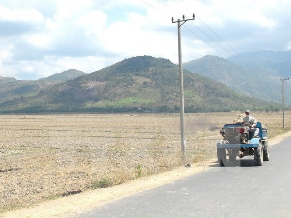 La BM soutient l'adaptation au changement climatique et la croissance verte au Vietnam ảnh 1