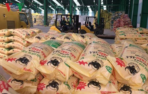 Mise en service d’une usine d’engrais de 500 milliards de dôngs à Ninh Binh ảnh 1 Mise en service d’une usine d’engrais de 500 milliards de dôngs à Ninh Binh ảnh 1