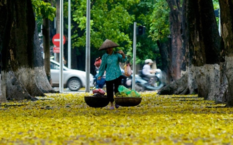 En automne, Hanoi dévoile son charme ảnh 1 En automne, Hanoi dévoile son charme ảnh 1