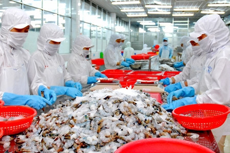 Septembre : 600 millions de dollars d’exportations de produits aquatiques ảnh 1 Septembre : 600 millions de dollars d’exportations de produits aquatiques ảnh 1