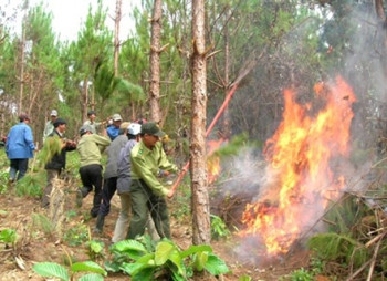 Aide pour la lutte contre les incendies de forêt ảnh 1 Aide pour la lutte contre les incendies de forêt ảnh 1