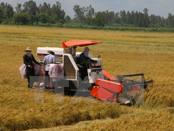 La RPDC recherche des opportunités d’investissement à Hau Giang ảnh 1 La RPDC recherche des opportunités d’investissement à Hau Giang ảnh 1