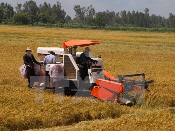 La RPDC recherche des opportunités d’investissement à Hau Giang ảnh 1