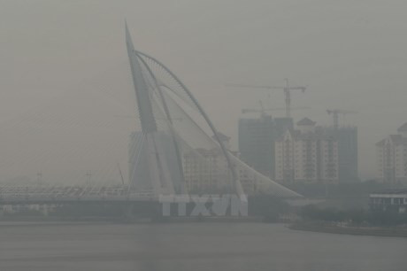 ASEAN : Coopération pour lutter contre les incendies de forêt en Indonésie ảnh 1 ASEAN : Coopération pour lutter contre les incendies de forêt en Indonésie ảnh 1