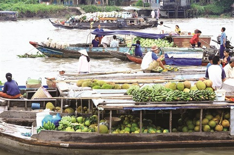 Caractéristiques culturelles des marchés flottants ảnh 1 Caractéristiques culturelles des marchés flottants ảnh 1