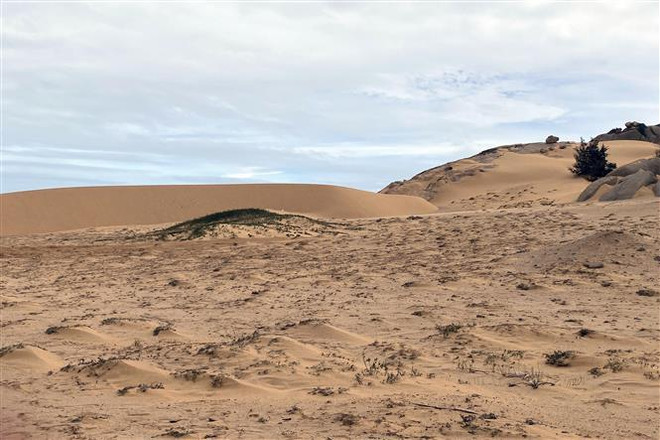 Mise en chantier d’un projet de villégiature d’un milliard de dollars à Ninh Thuan ảnh 2