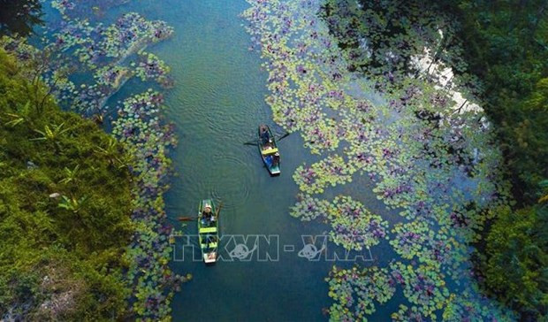 Révolution numérique du tourisme vietnamien : importance des entreprises pionnières ảnh 1 Révolution numérique du tourisme vietnamien : importance des entreprises pionnières ảnh 1