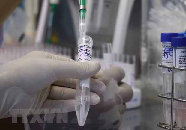 COVID-19 : plus de 47.000 nouveaux cas signalés ảnh 1 COVID-19 : plus de 47.000 nouveaux cas signalés ảnh 1