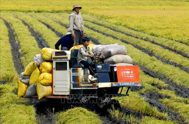 La rénovation des mentalités est essentielle au développement agricole ảnh 1 La rénovation des mentalités est essentielle au développement agricole ảnh 1