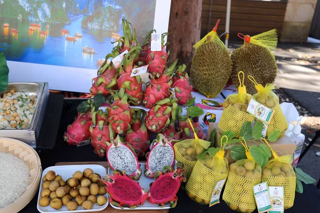 Le commerce Vietnam-Australie dépasse les 8 milliards de dollars au premier semestre ảnh 2