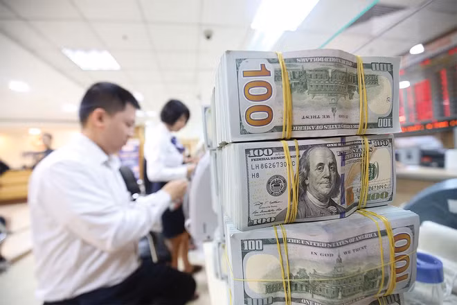 De devises étrangères transférées à HCM-Ville atteignent 3,16 milliards de dollars en 6 mois ảnh 1 De devises étrangères transférées à HCM-Ville atteignent 3,16 milliards de dollars en 6 mois ảnh 1