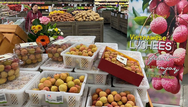 Le commerce Vietnam-Australie dépasse les 8 milliards de dollars au premier semestre ảnh 1 Le commerce Vietnam-Australie dépasse les 8 milliards de dollars au premier semestre ảnh 1