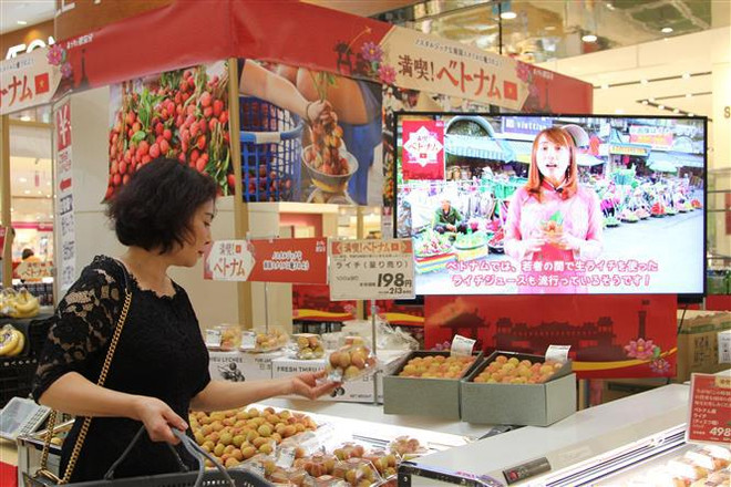 Ouverture d'une Semaine des produits vietnamiens au Japon ảnh 2 Ouverture d'une Semaine des produits vietnamiens au Japon ảnh 2