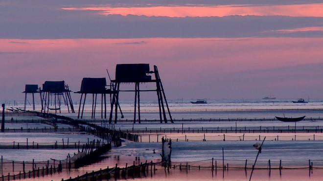 La beauté immaculée de cinq plages peu connues au Vietnam ảnh 1