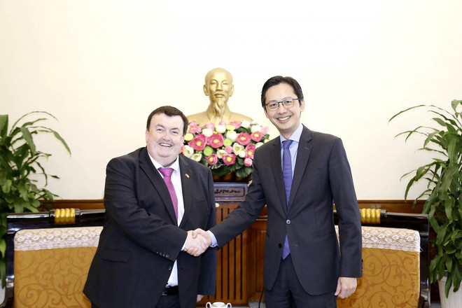 Renforcement de la coordination entre les ministères vietnamien et irlandais des Affaires étrangères ảnh 1 Renforcement de la coordination entre les ministères vietnamien et irlandais des Affaires étrangères ảnh 1