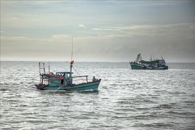 Le Vietnam prêt à coopérer et à partager son expérience dans la lutte contre la pêche illégale ảnh 1 Le Vietnam prêt à coopérer et à partager son expérience dans la lutte contre la pêche illégale ảnh 1