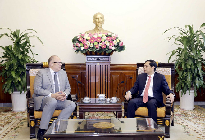 Le ministre des Affaires étrangères Bùi Thanh Son reçoit l'ambassadeur du Danemark au Vietnam ảnh 1 Le ministre des Affaires étrangères Bùi Thanh Son reçoit l'ambassadeur du Danemark au Vietnam ảnh 1