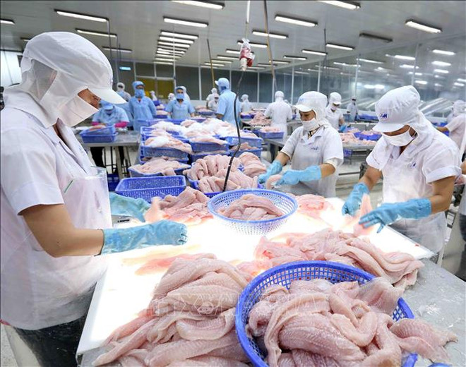 Vietnam et Russie peuvent booster leur commerce des produits agricole ảnh 2 Vietnam et Russie peuvent booster leur commerce des produits agricole ảnh 2