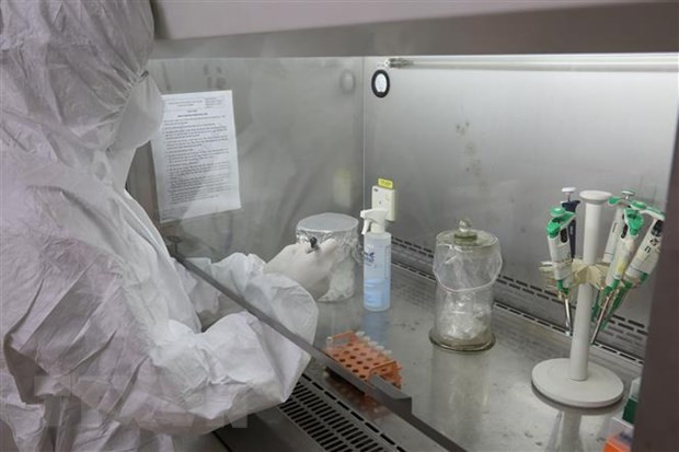 COVID-19 : le Vietnam détecte trois nouveaux cas ảnh 1 COVID-19 : le Vietnam détecte trois nouveaux cas ảnh 1