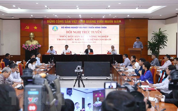 Promotion de la production agricole pour répondre à la consommation domestique et aux exportations ảnh 1 Promotion de la production agricole pour répondre à la consommation domestique et aux exportations ảnh 1