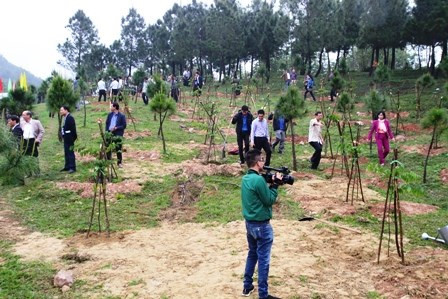 Lancement de la fête de la plantation d’arbres à Thua Thien-Hue ảnh 1