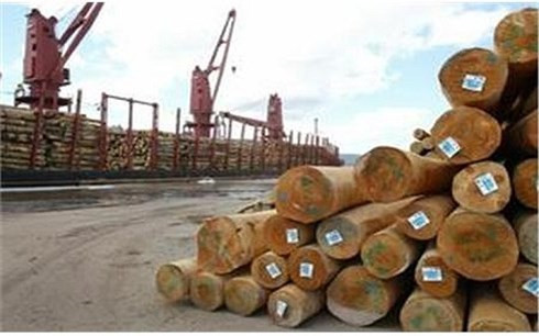 Doper les exportations du bois en 2018 ảnh 1 Doper les exportations du bois en 2018 ảnh 1