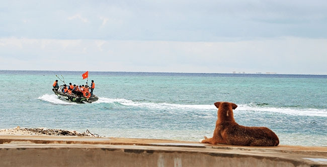 Des chiens sur l’archipel de Truong Sa ảnh 3 Des chiens sur l’archipel de Truong Sa ảnh 3