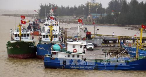 Le Japon offre des lampes à LED aux bateaux de pêche de Quang Tri ảnh 1