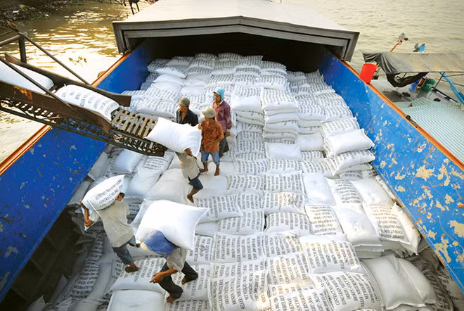 Bon début d’année pour les exportations nationales de riz ảnh 1