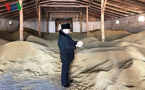 Tran Ngoc Tuan, un fermier vietnamien en Russie ảnh 1 Tran Ngoc Tuan, un fermier vietnamien en Russie ảnh 1