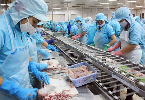 L’ASEAN, 4e débouché des pangasius du Vietnam ảnh 1