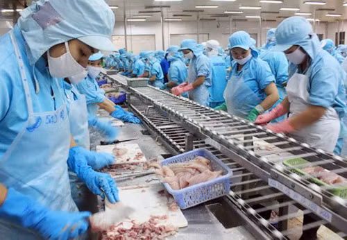 L’ASEAN, 4e débouché des pangasius du Vietnam ảnh 1
