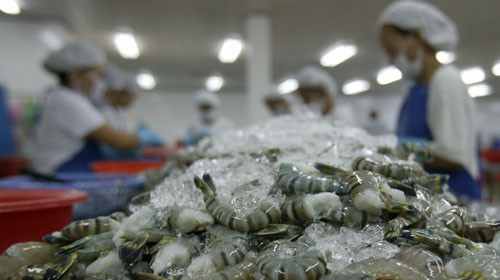 Hausse de 2,3% des exportations de crevettes au 2e trimestre ảnh 1