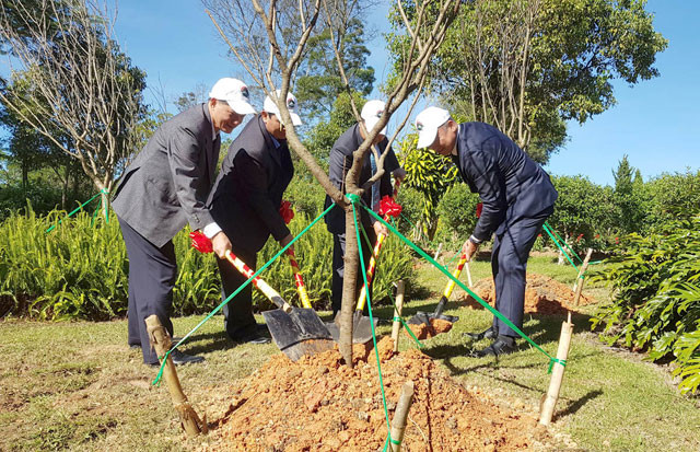 Plantation de 125 cerisiers japonais à Da Lat ảnh 1 Plantation de 125 cerisiers japonais à Da Lat ảnh 1
