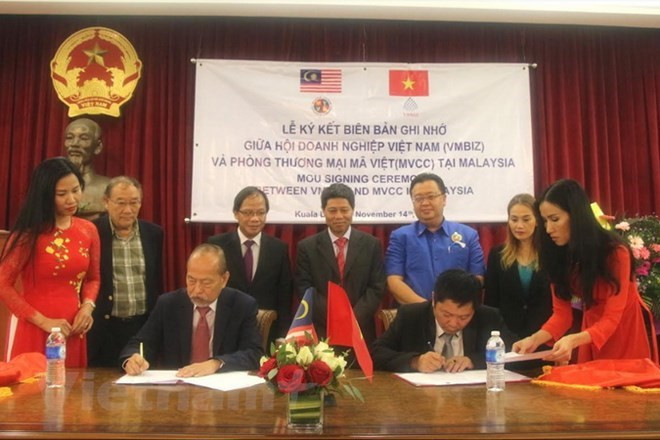 Vietnam-Malaisie : nouvel élan pour la coopération entre entreprises ảnh 1