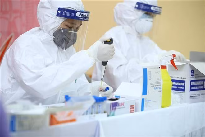 COVID-19 : un nouveau cas importé signalé ce mardi ảnh 1 COVID-19 : un nouveau cas importé signalé ce mardi ảnh 1