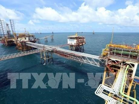 Vietsovpetro : bénéfice de plus de 722 millions de dollars pour la partie vietnamienne ảnh 1 Vietsovpetro : bénéfice de plus de 722 millions de dollars pour la partie vietnamienne ảnh 1