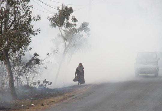 Indonésie: Plus de 39.000 personnes touchées par une brume de fumée ảnh 1 Indonésie: Plus de 39.000 personnes touchées par une brume de fumée ảnh 1