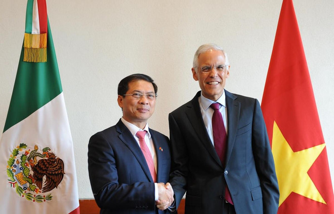 Vietnam-Mexique : La 5e consultation politique entre les ministères des Affaires étrangères ảnh 1 Vietnam-Mexique : La 5e consultation politique entre les ministères des Affaires étrangères ảnh 1