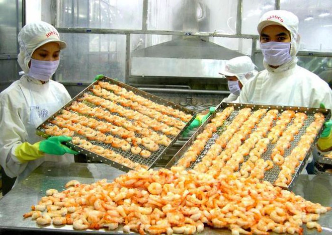 De belles perspectives pour les exportations de produits aquatiques vers les États-Unis ảnh 1 De belles perspectives pour les exportations de produits aquatiques vers les États-Unis ảnh 1