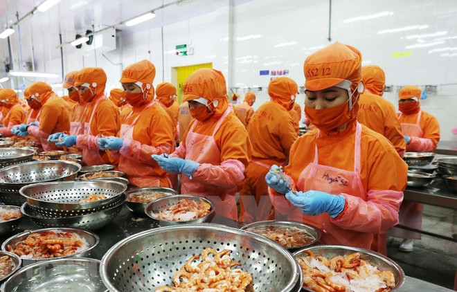 CIEM: Améliorer l'autonomie de l'économie pour profiter du RCEP ảnh 1 CIEM: Améliorer l'autonomie de l'économie pour profiter du RCEP ảnh 1