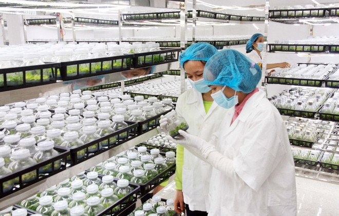 Pour mieux mobiliser les investissements dans l’agriculture ảnh 2 Pour mieux mobiliser les investissements dans l’agriculture ảnh 2