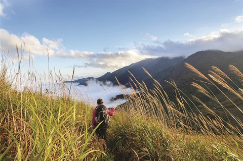 À la conquête de la montagne Lùng Cung à Yên Bai ảnh 2 À la conquête de la montagne Lùng Cung à Yên Bai ảnh 2