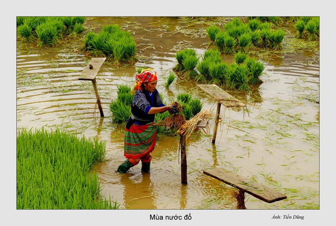 Le Nord-Ouest à la saison des eaux ảnh 8 Le Nord-Ouest à la saison des eaux ảnh 8