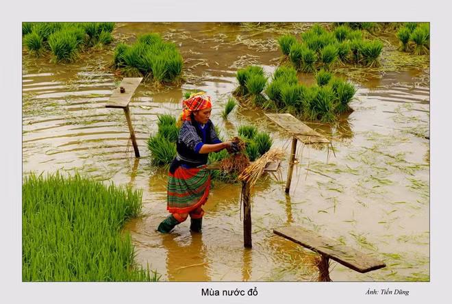 Le Nord-Ouest à la saison des eaux ảnh 8